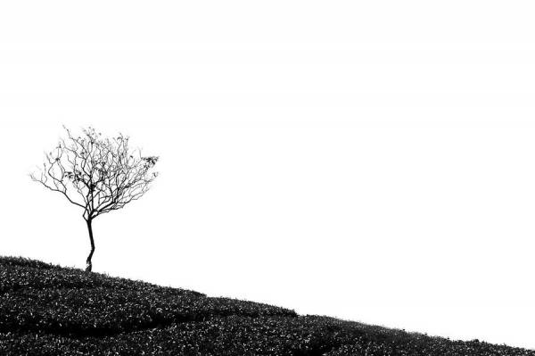 Photograph Arief Israwan On The Hill on One Eyeland